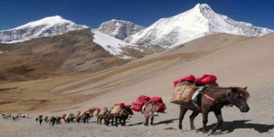 Trekking Tours