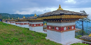Cultural Tours