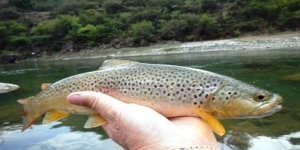 Fishing Tours